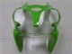 ZX6R 2000-2002 - Grün ZX6R 2000-2002 - Grün