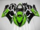 ZX6R 2005-2006 - Grün ZX6R 2005-2006 - Grün