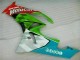 ZX6R 2009-2012 - Rot Grün Motocard ZX6R 2009-2012 - Rot Grün Motocard